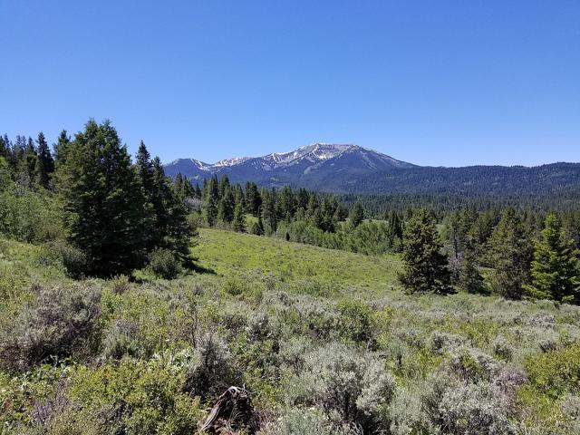 Caribou–Targhee National Forest